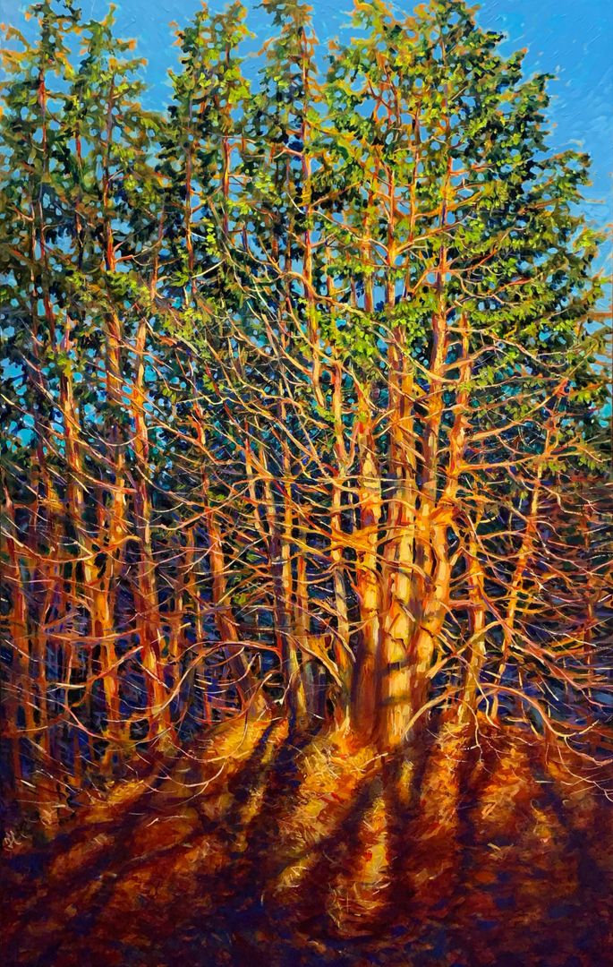 Cedars 30"x48"