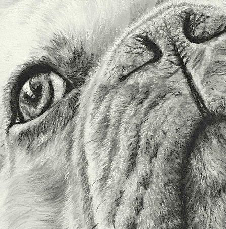French Bulldog Print