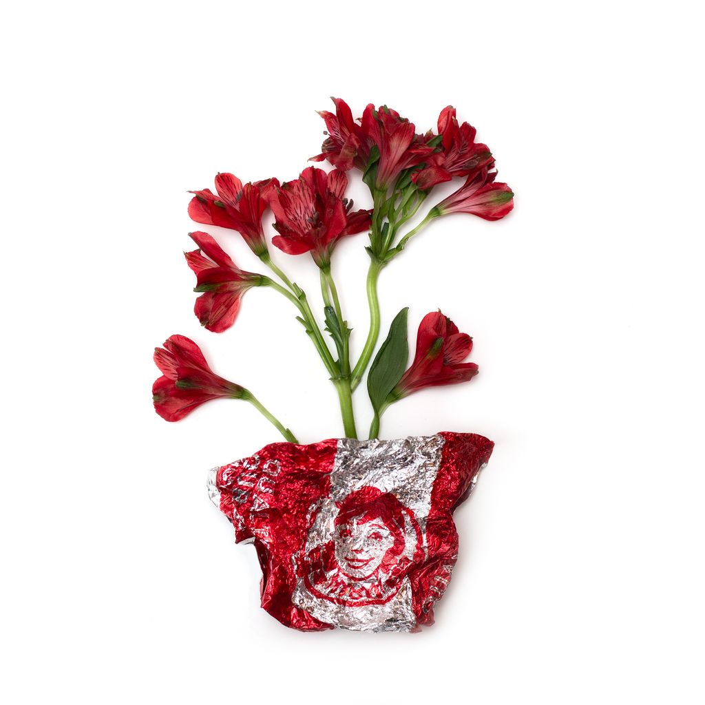 Wendy's Red Flowers