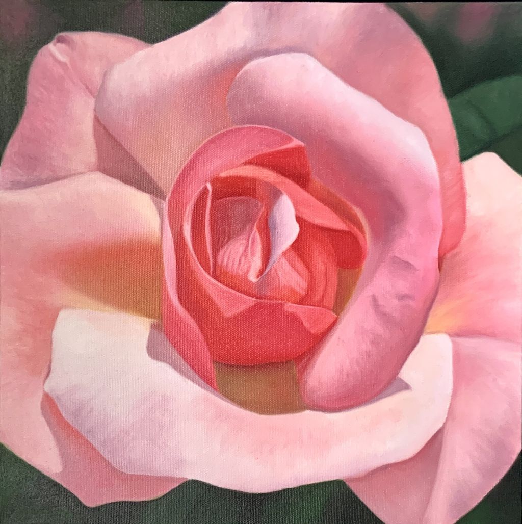 Abbey Rose 14"x14"