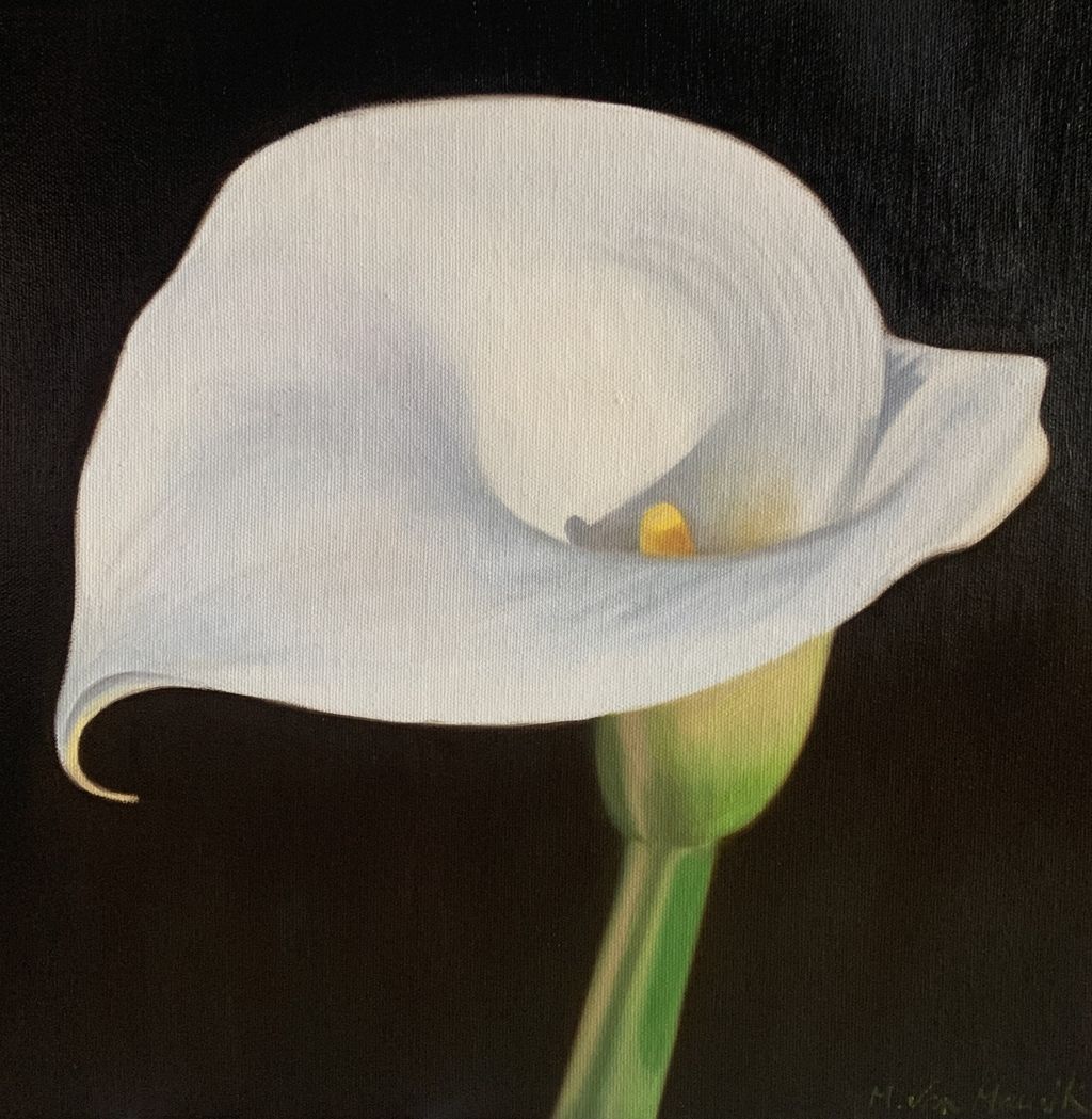 Calla Lily 12x12