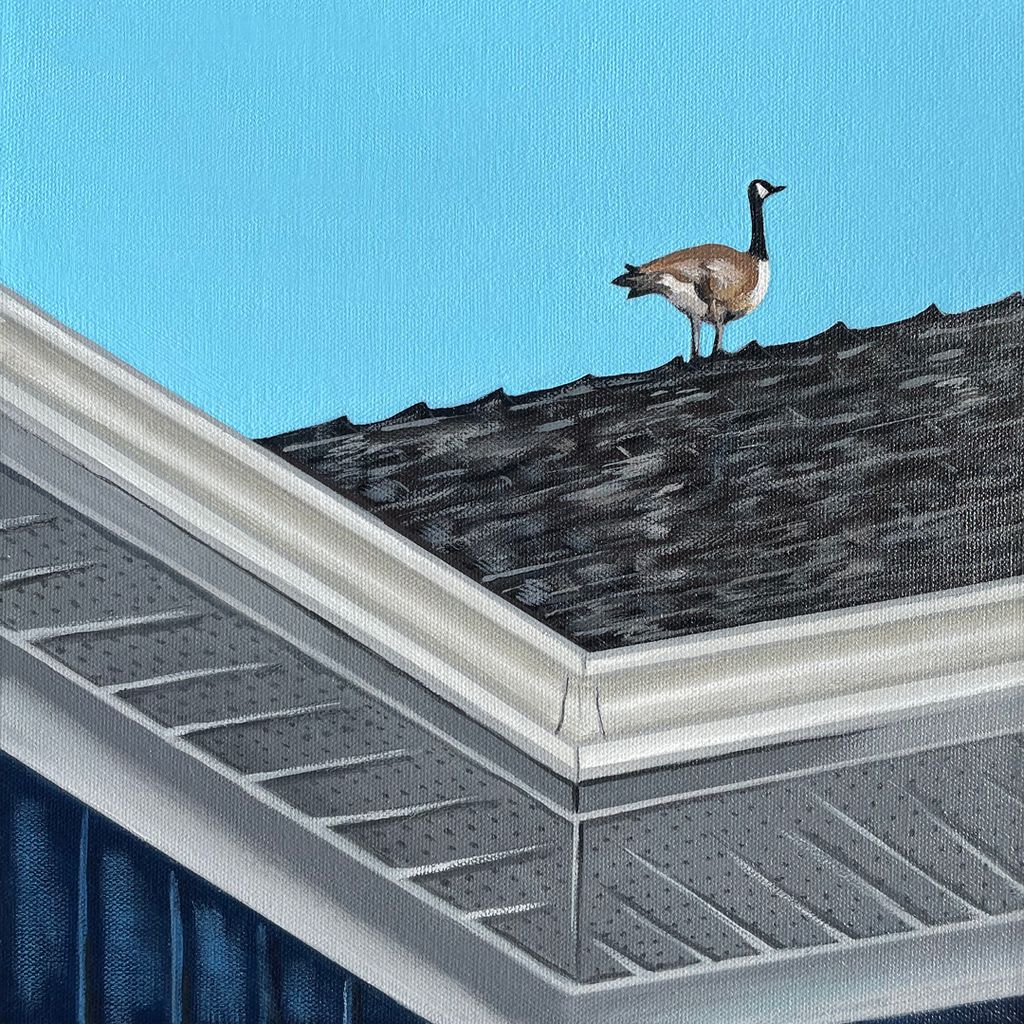 Single Goose on a Roof 12x12