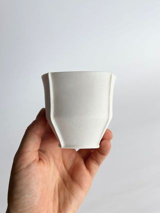 NK Small Cup White