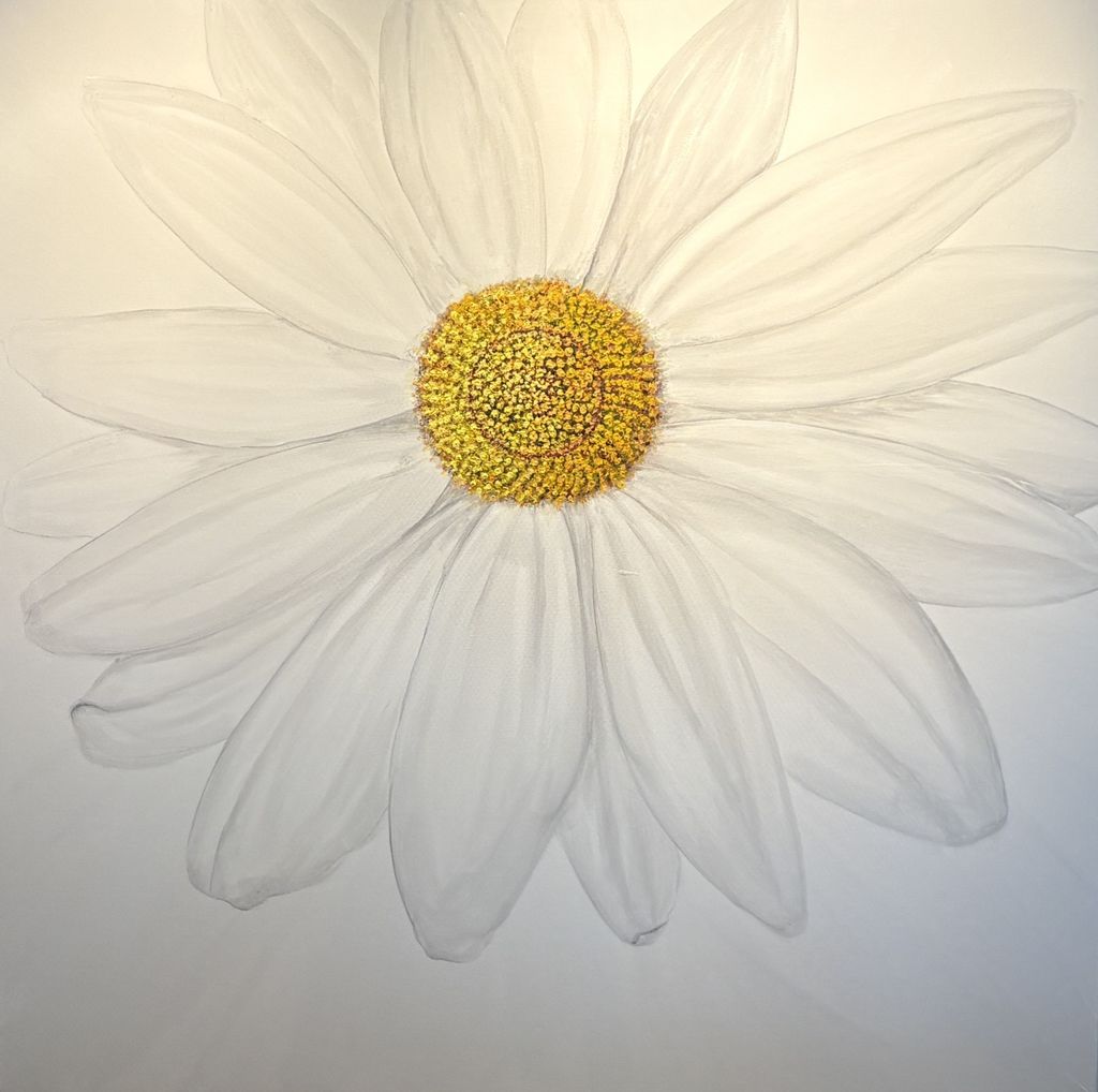 Daisy 48x48