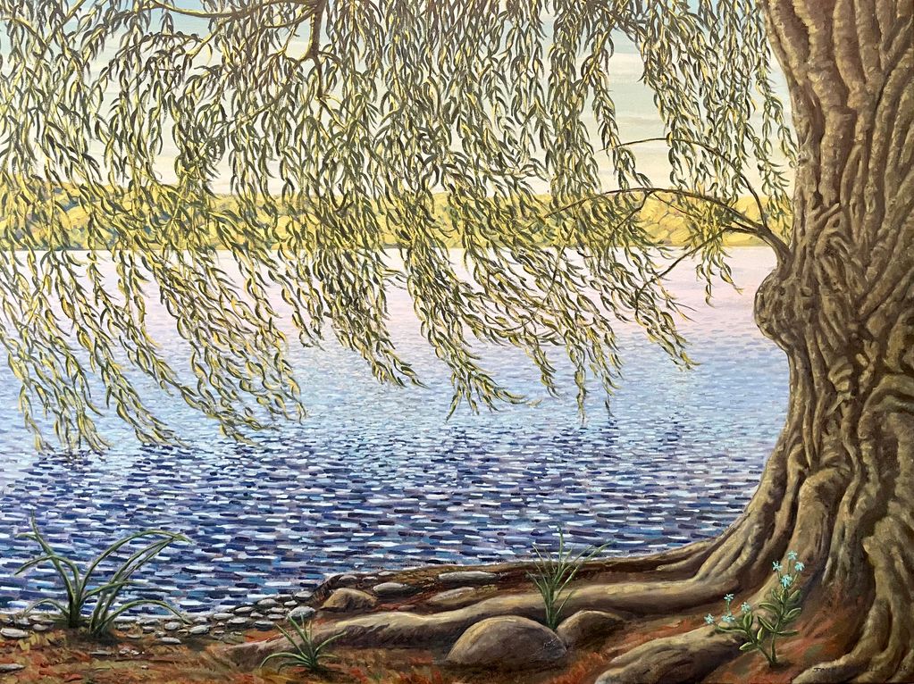 Under the Big Willow 30x40