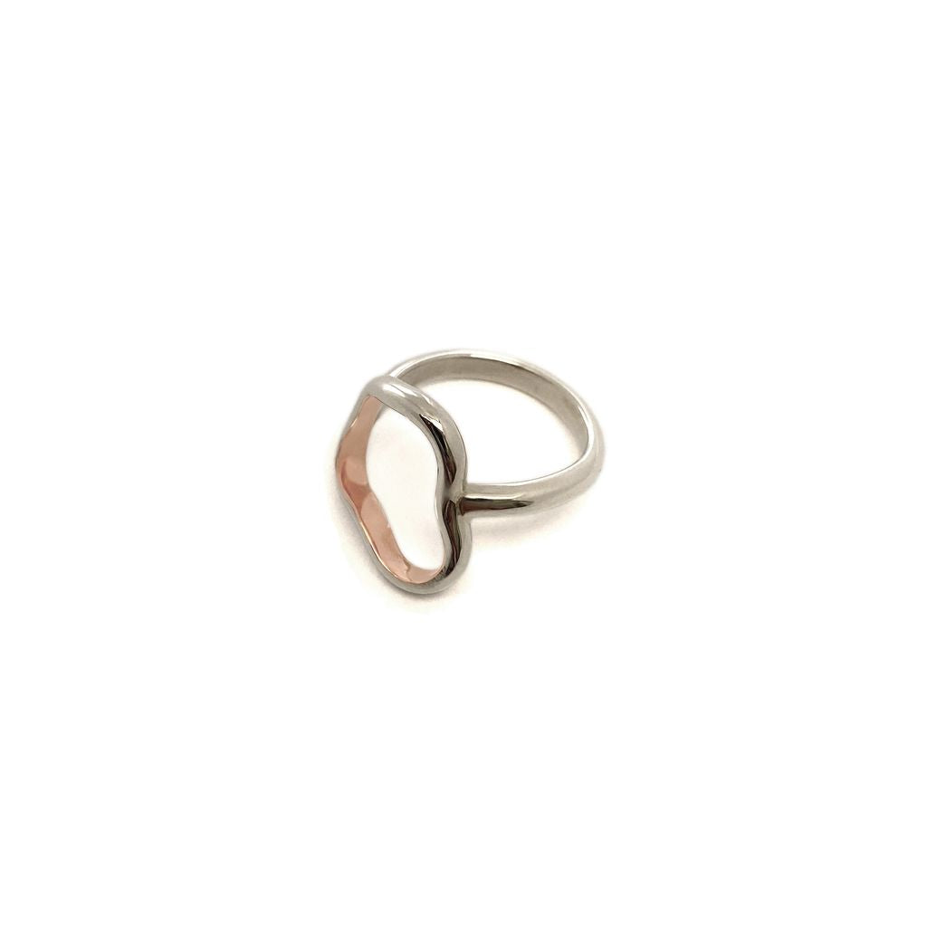 Curves25 Ring