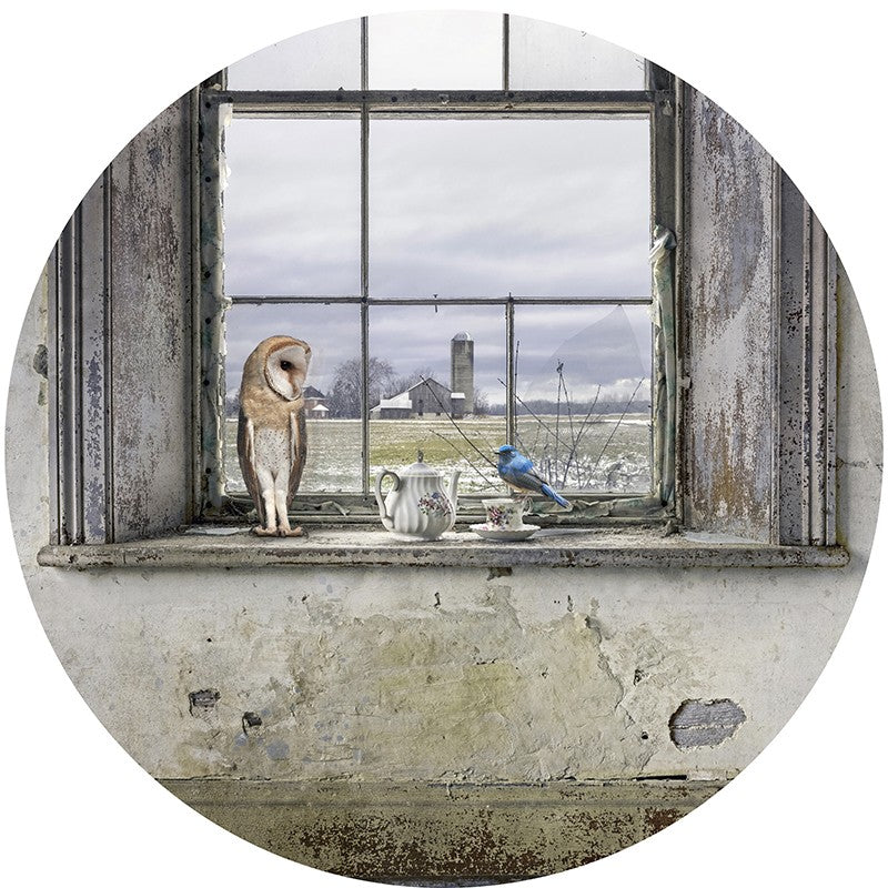 Window Dressing 22"