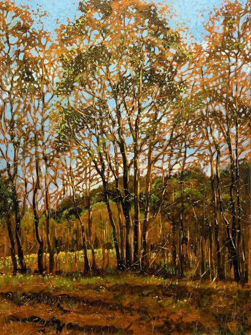 May, Trees And Clouds