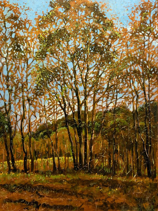 May, Trees And Clouds