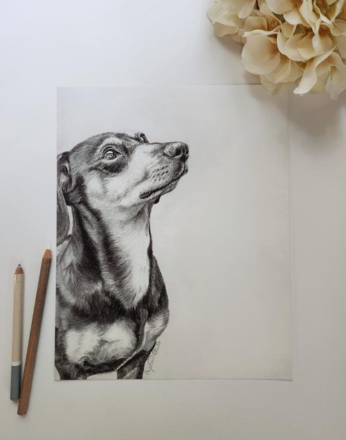 Dachshund Print
