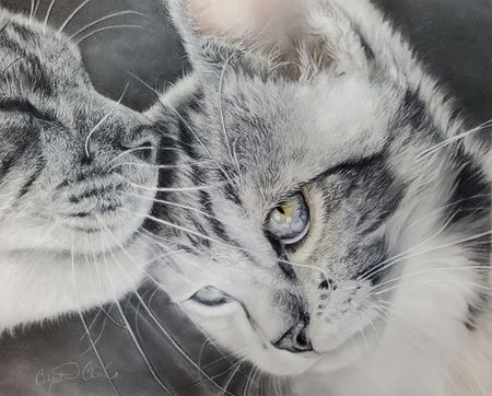 Quiet Love Kitten Print