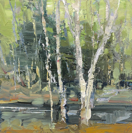 The Birches Near the Stream