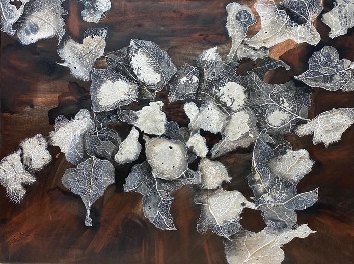 Weathered Wisdom 36x30