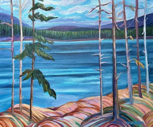 Rainbow Rocks 20x24
