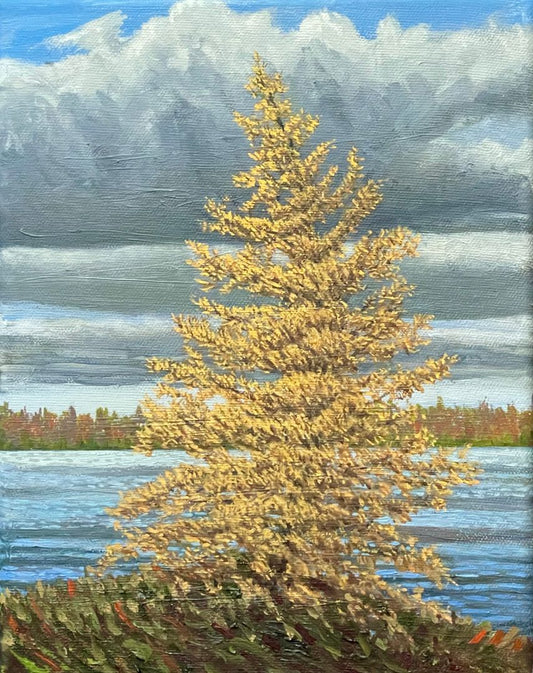 Autumn Tamarack 10x8