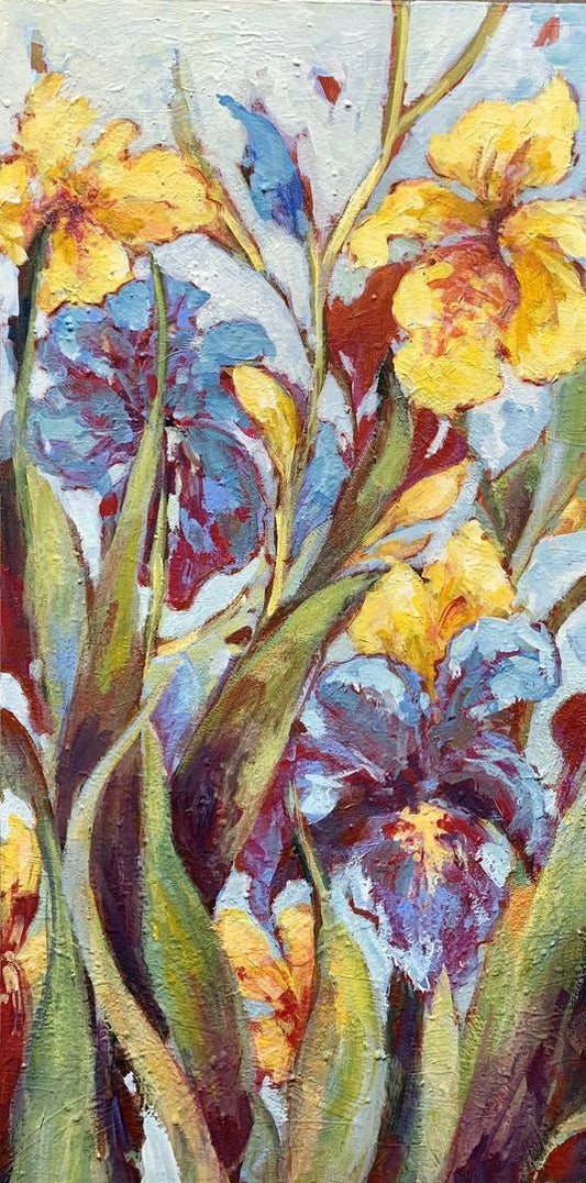 Garden Iris 18x36