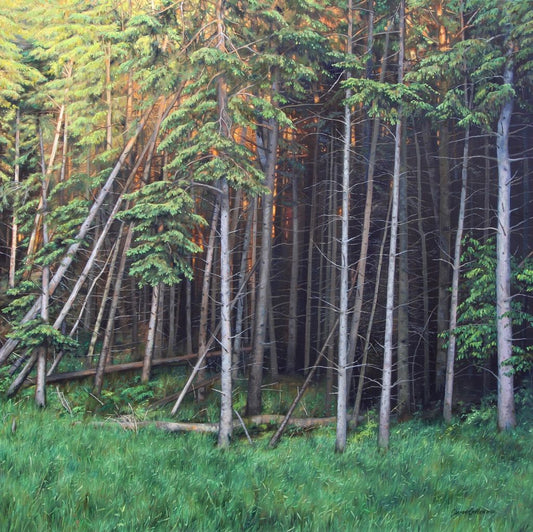 Beyond the Pines 30x30