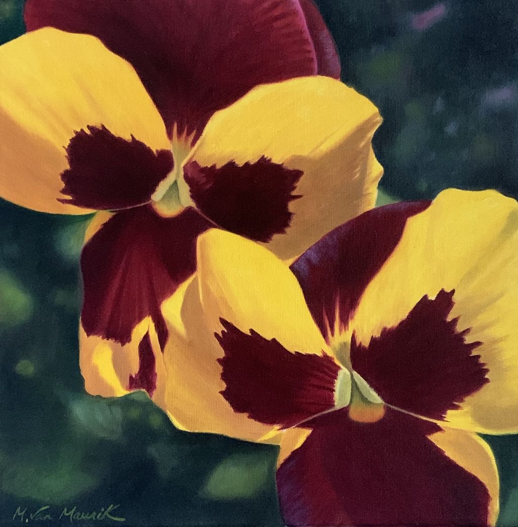 Pansies 12x12
