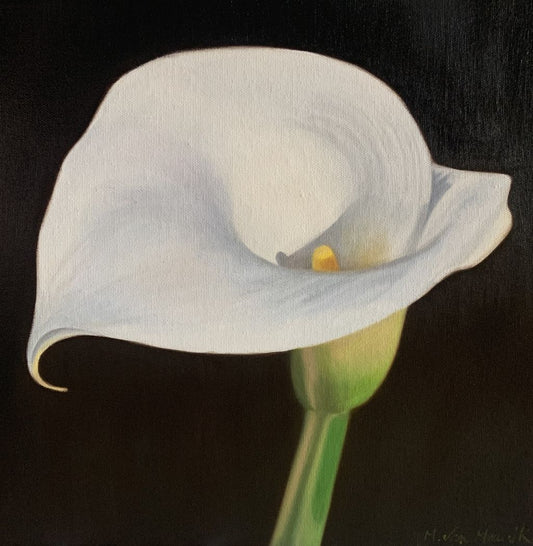 Calla Lily 12x12