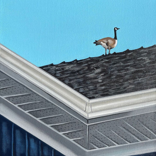 Single Goose on a Roof 12x12