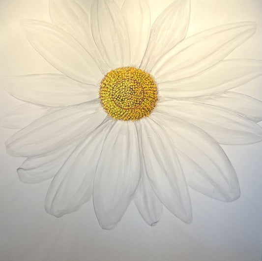 Daisy 48x48