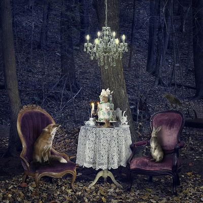 Menagerie at Midnight MG 8x8