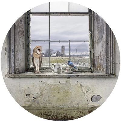 Window Dressing MG 14"