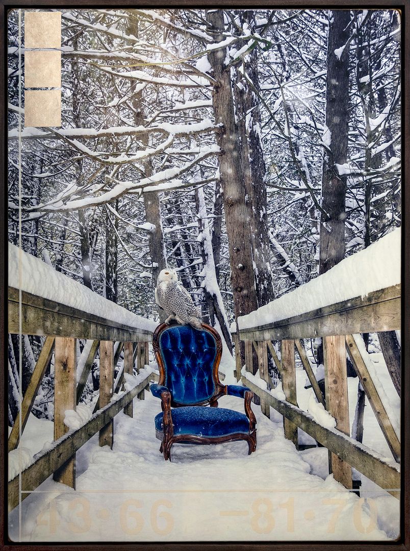 The Guardian 48x36