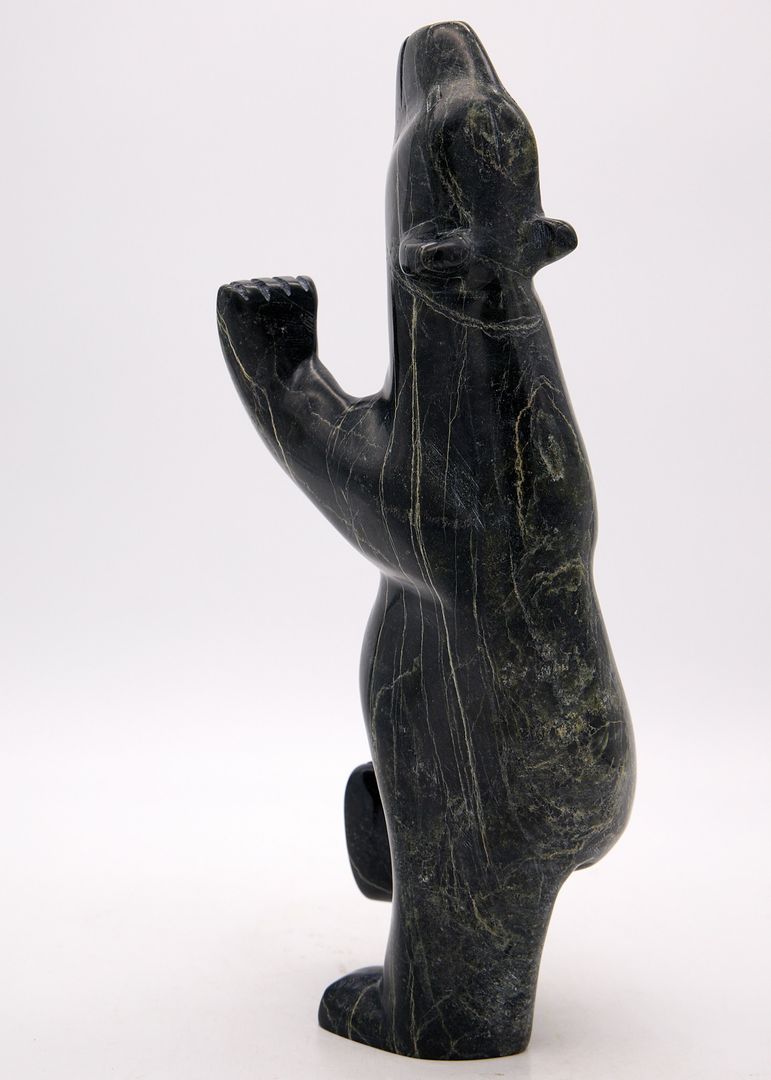 Dancing Bear 1268500