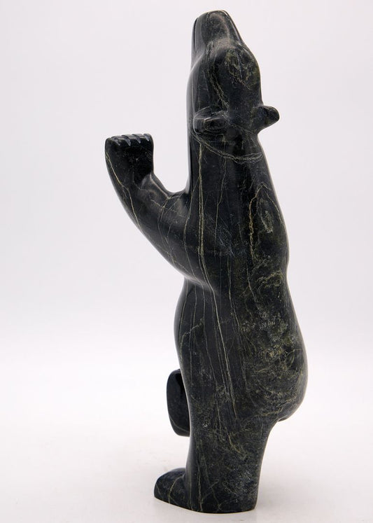 Dancing Bear 1268500