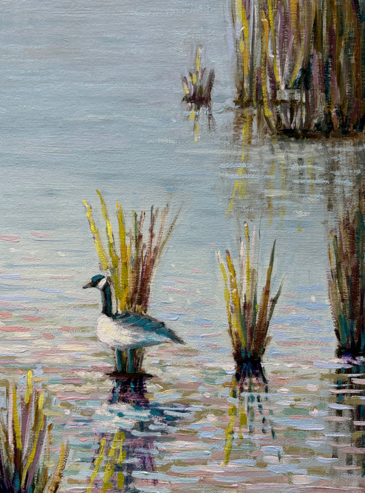 RGB Goose