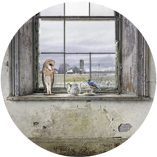 Window Dressing 22"